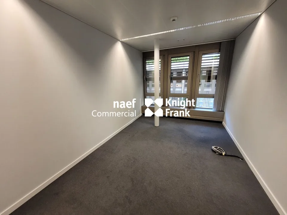Malagnou - Büro von 485 m² im Obergeschoss – Foto 7 von 11