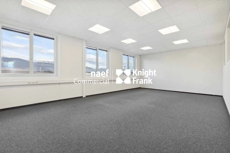 Fläche von 418 m² in der Industriezone ZIMEYSA von Meyrin – Foto 7 von 8