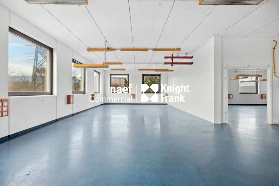 Superficie di 430 m² nella zona industriale ZIMEYSA di Meyrin – foto 8 di 12