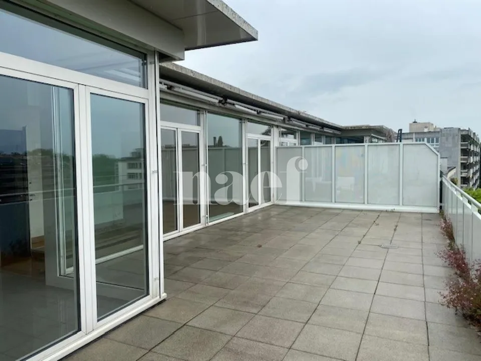 Appartement mit großer Terrasse in Champel – Foto 10 von 10