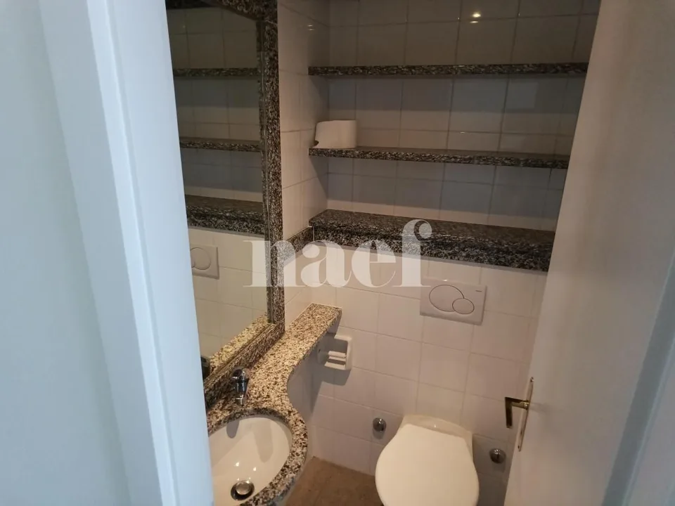 Appartement mit großer Terrasse in Champel – Foto 9 von 10