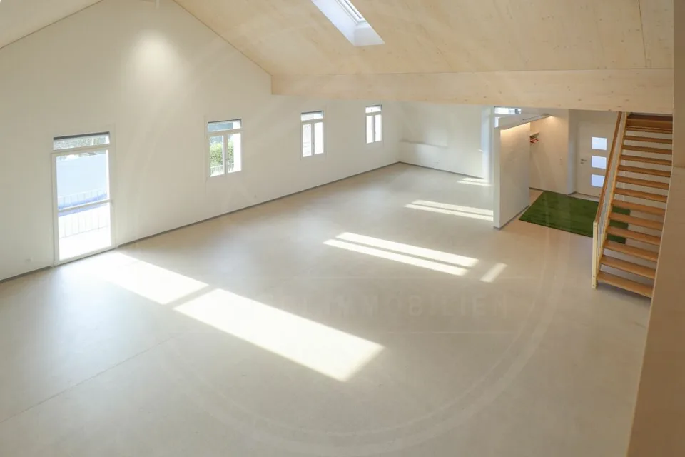 Votre siège social à Mellingen AG - Nouvel espace commercial à louer au bord de la Reuss – photo 10 sur 13