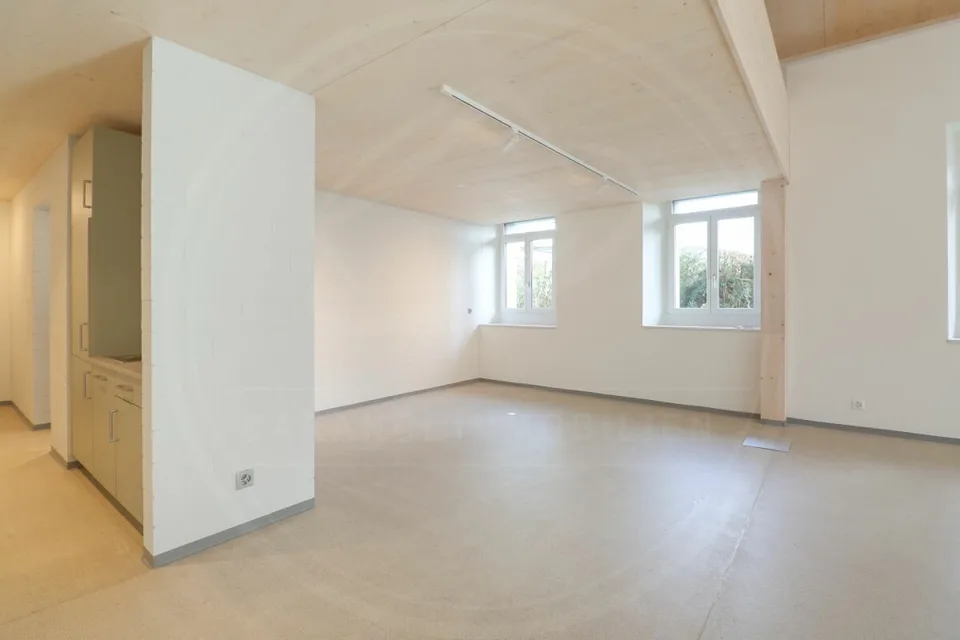 Votre siège social à Mellingen AG - Nouvel espace commercial à louer au bord de la Reuss – photo 8 sur 13