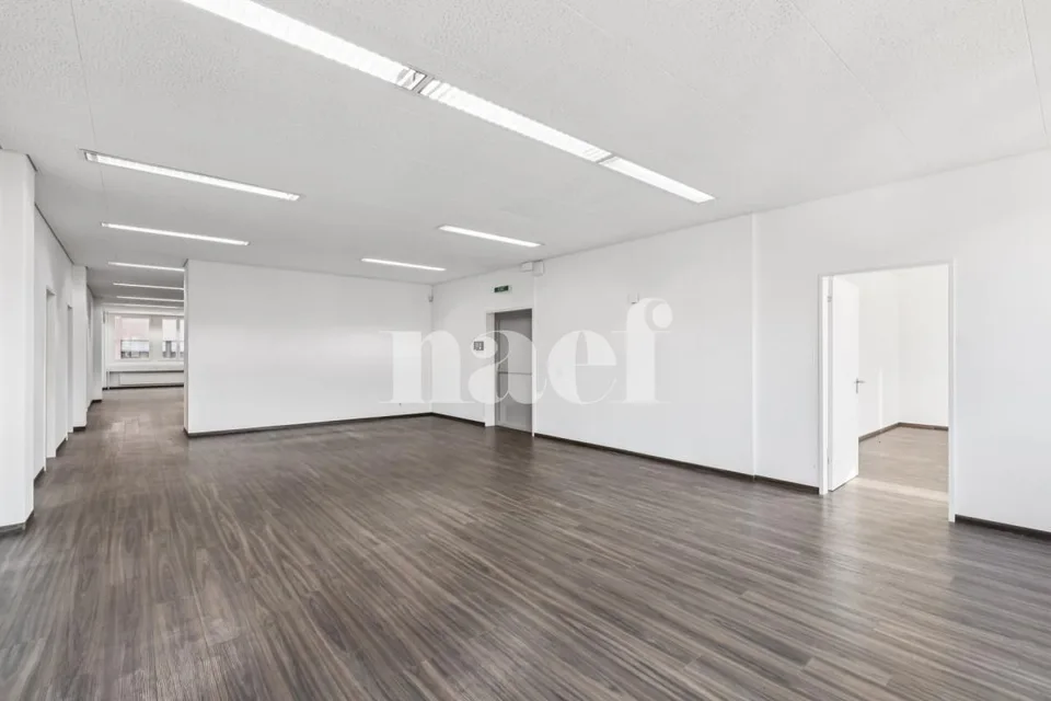 Nuovo spazio commerciale disponibile di 534 m2