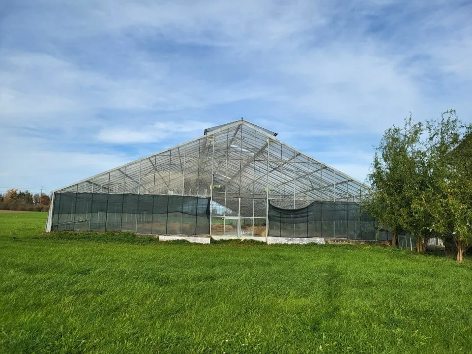 Grandes Serres près d'Arbon