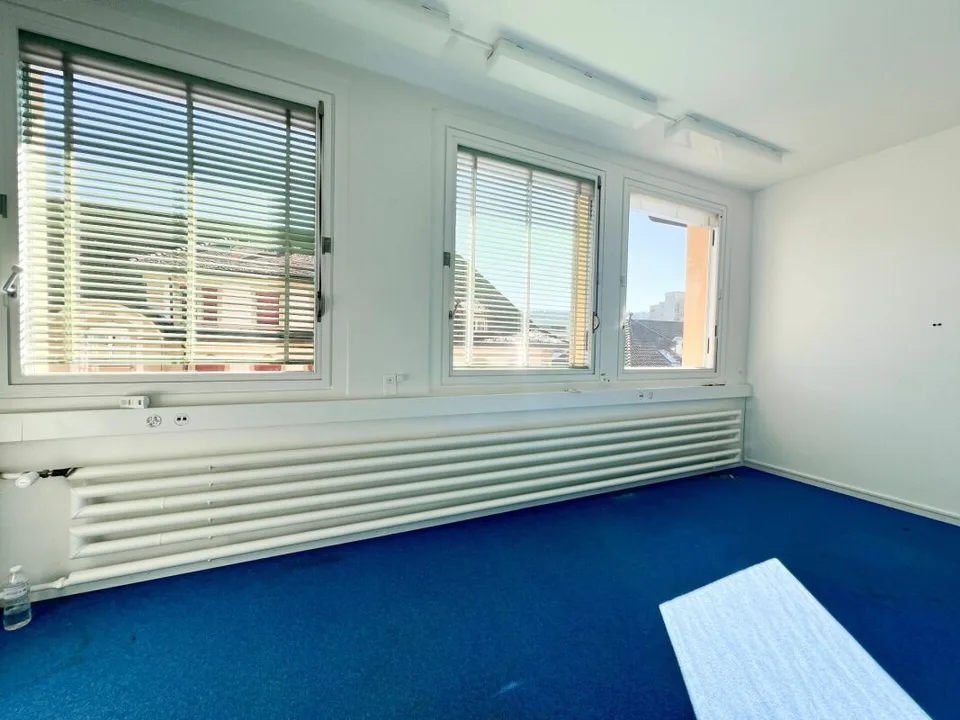Locaux à louer de 235m2 modulables - idéal pour atelier-bureau