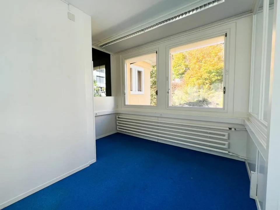 Locaux à louer de 235m2 modulables - idéal pour atelier-bureau