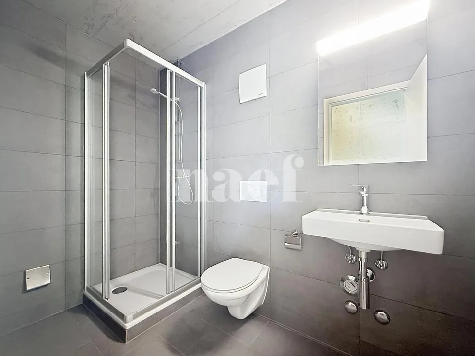 NEUE 3,5-Zimmer-Wohnung