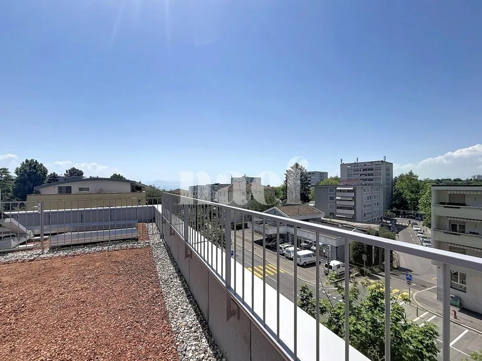 NEUE 3,5-Zimmer-Wohnung