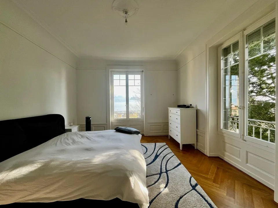 Appartement de grande Classe Vue Lac au calme – photo 7 sur 9