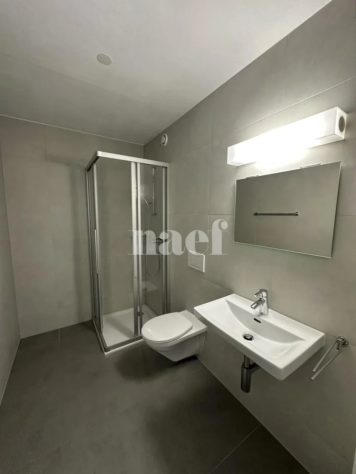 Appartamento 5.5 locali con balcone – foto 10 di 10