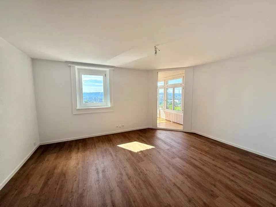 Wunderschöne 2.5 Zimmer Wohnung komplett renoviert - modernes Ambiente mit freiem Blick