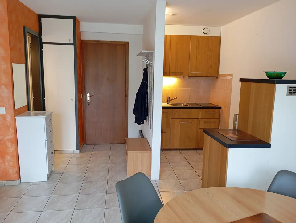 Monolocale arredato di 32m2 con vista in affitto a Sierre