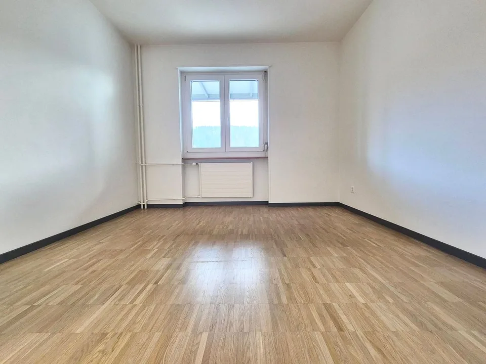 Appartamento di 2 locali con ampio balcone e ascensore!