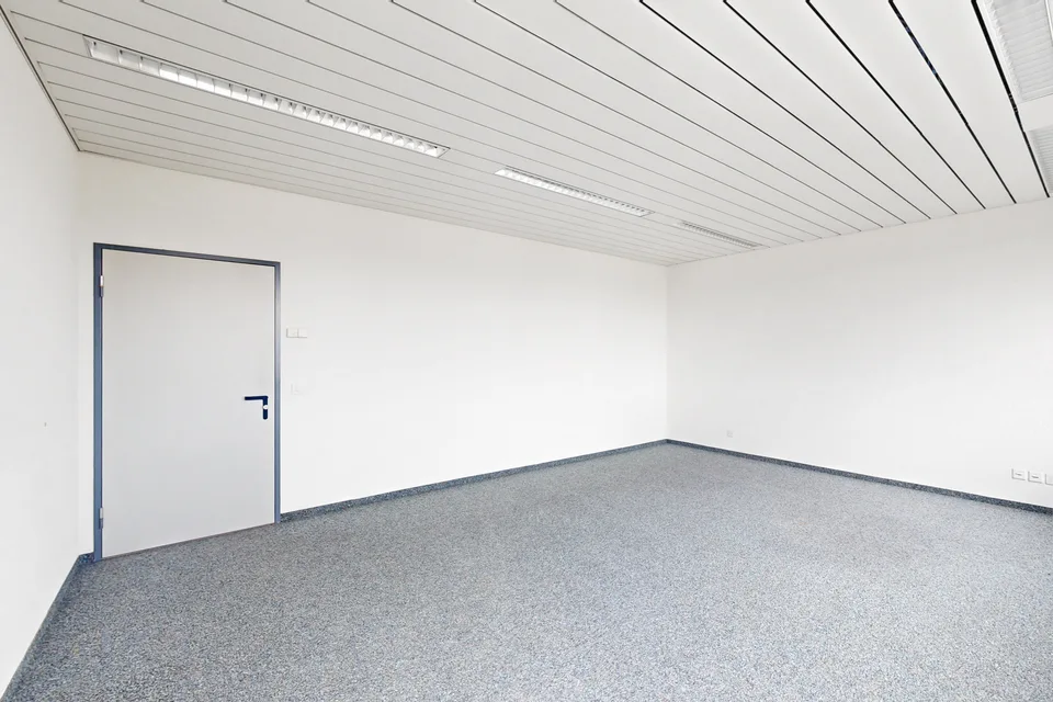 Ufficio e spazio commerciale - GO! Edificio commerciale a Oberentfelden - 28,60 m2