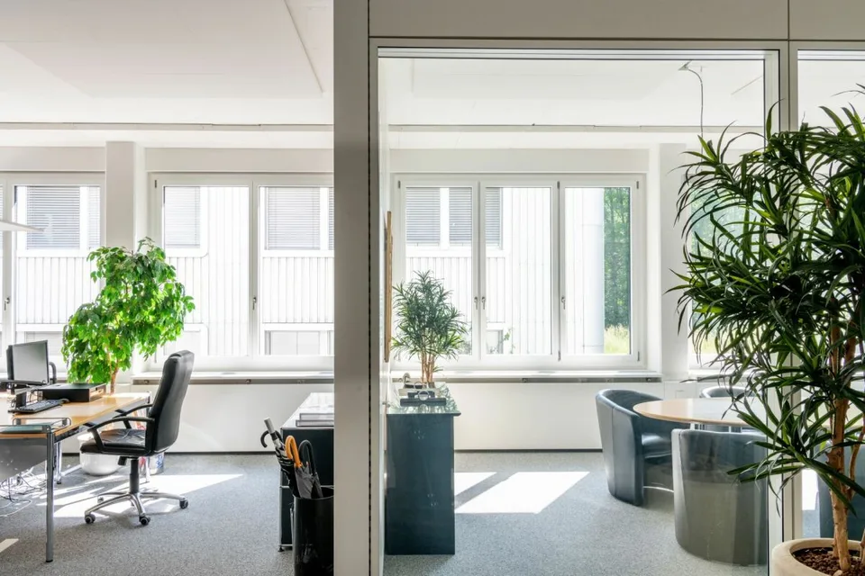 Lebendige Büros ? Energieeffizienz trifft Komfort