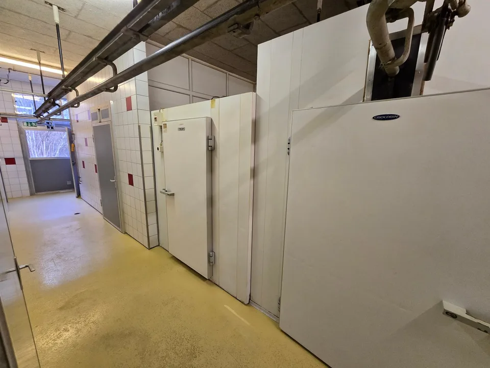 Fully equipped butcher shop with sales area and storage space