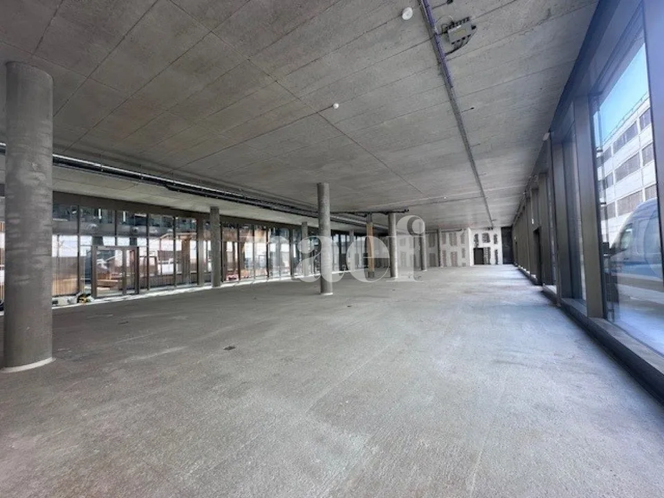 Industriefläche im Erdgeschoss von ca. 623 m2 zu vermieten