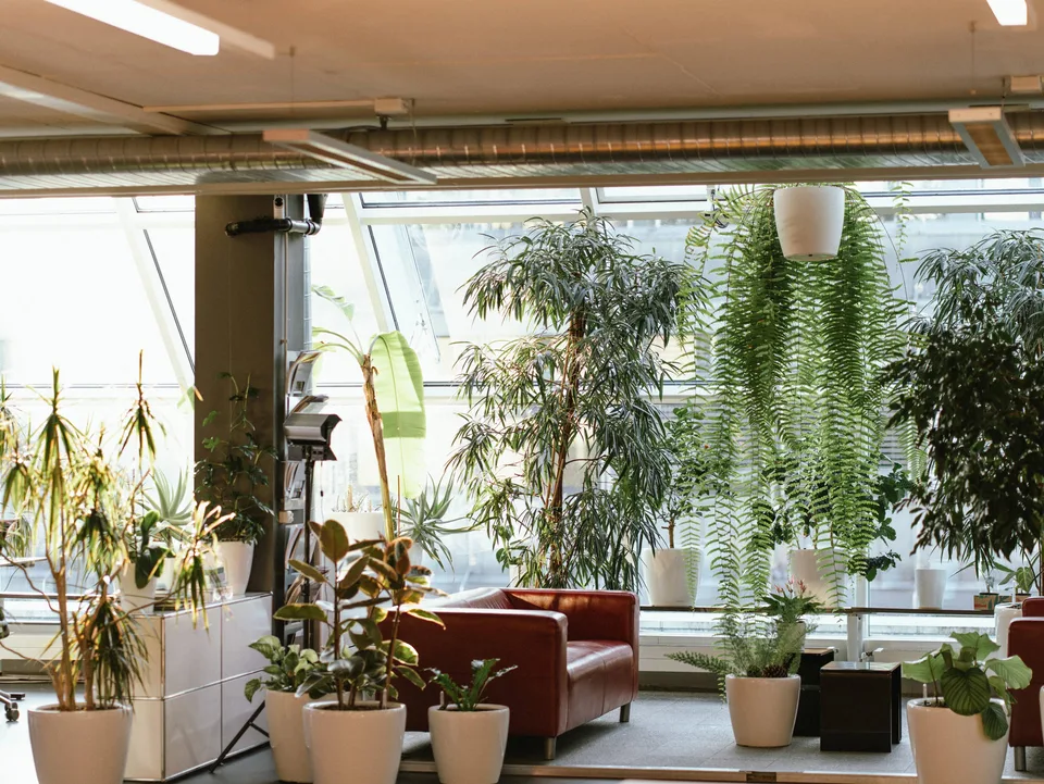 Office – photo 6 of 30