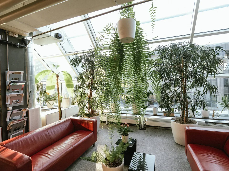 Office – photo 10 of 30