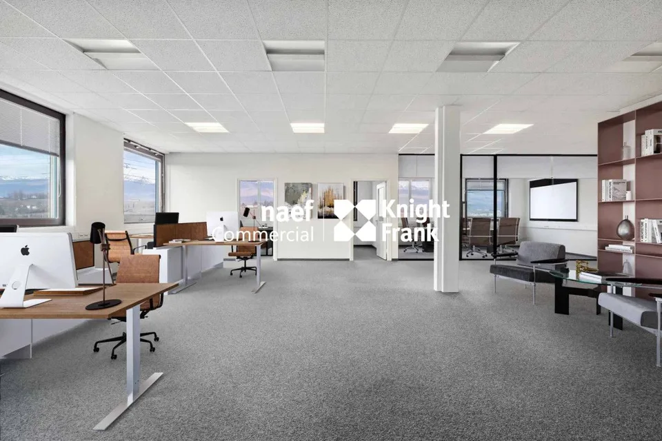 Fläche von 418 m² in der Industriezone ZIMEYSA von Meyrin