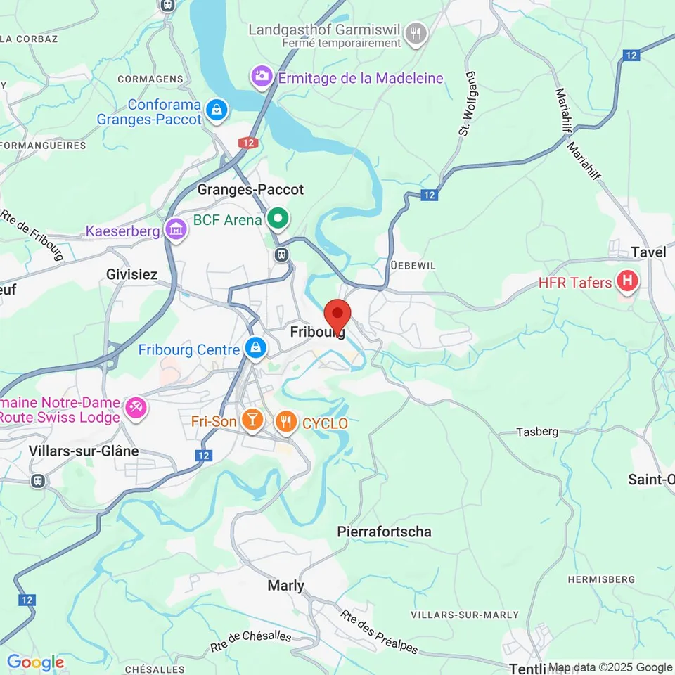 Atelier / Artigianato 180m2 in affitto - Centro città di Friburgo