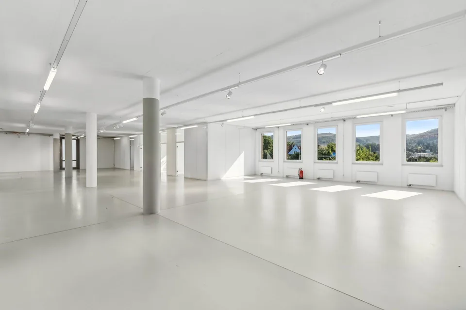 helle Büroräume mit grosszügigem Open Space