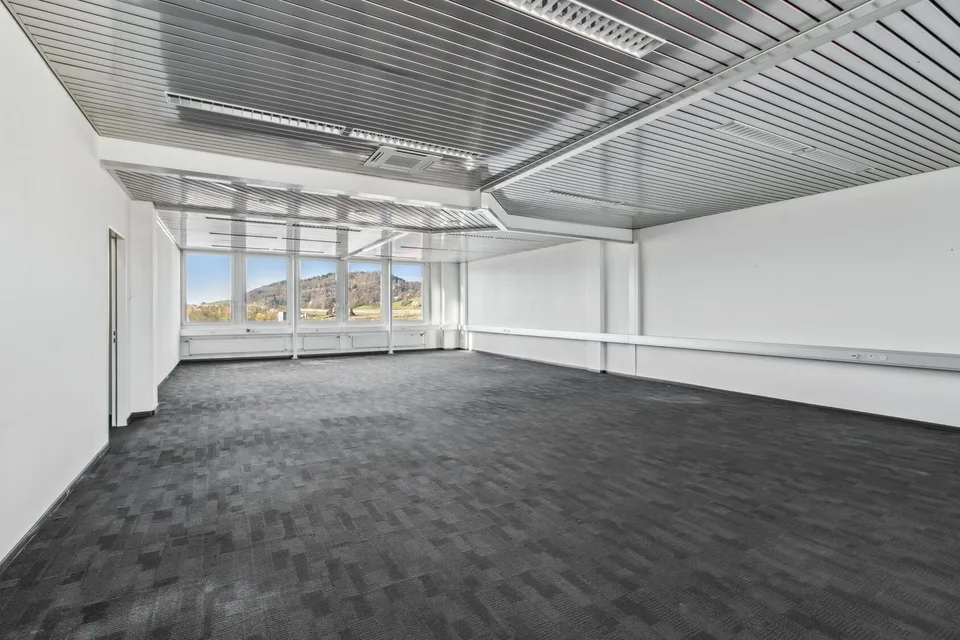 Top di Dietikon – Il tuo spazio ufficio con vista spettacolare!