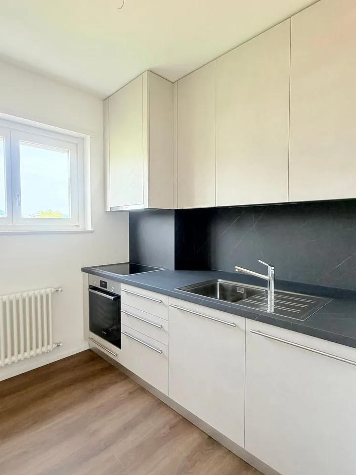 4 Zimmer, neue Küche und Bad in Mendrisio