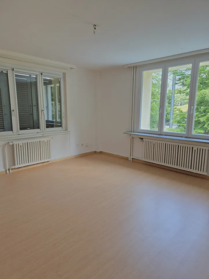 ***BEFRISTET 1 JAHR*** schöne 2.5-Zimmer Wohnung in Teufen