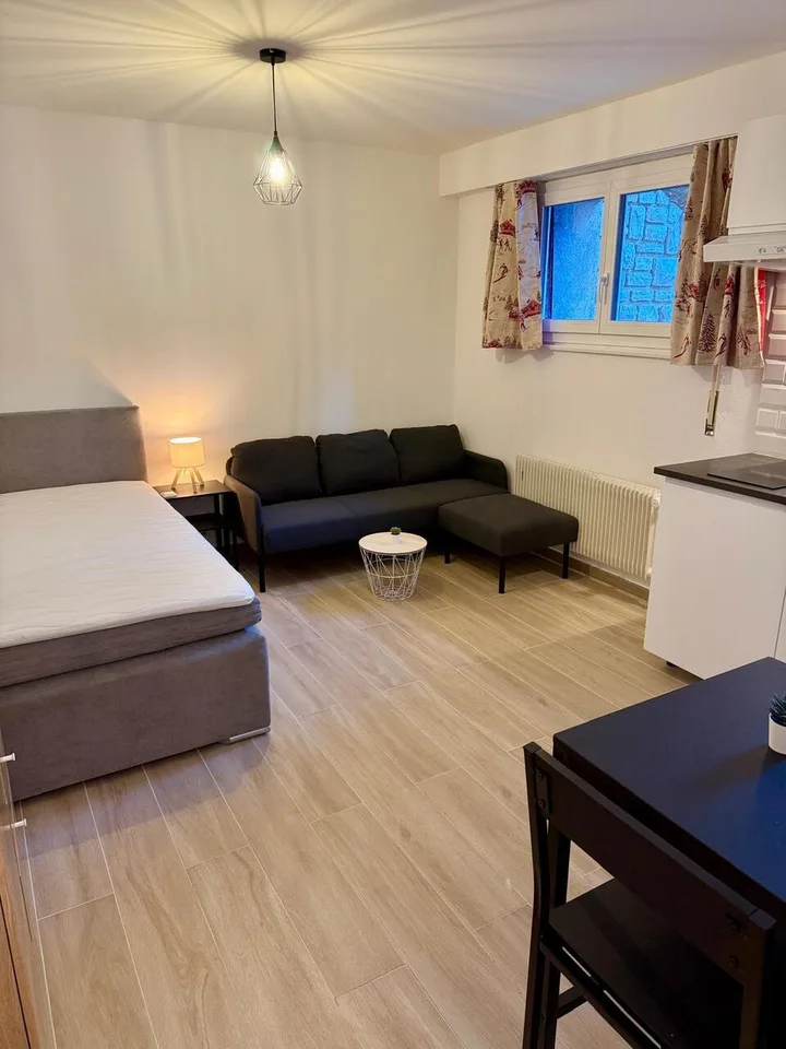 Charmantes kleines renoviertes Studio - IM JAHR