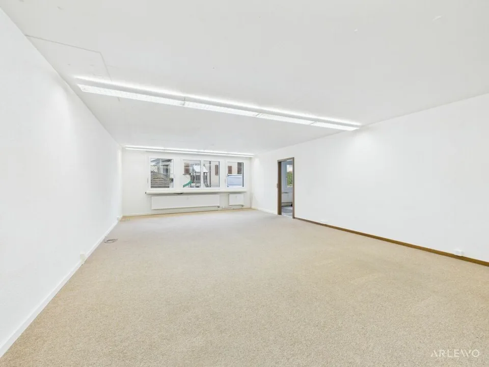 Gewerbefläche Hochdorf - zentral &amp; ruhig