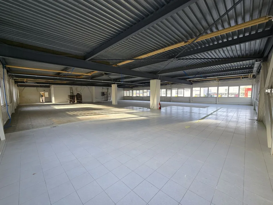 Fläche von 555m2 - Showroom - Büros oder Räume