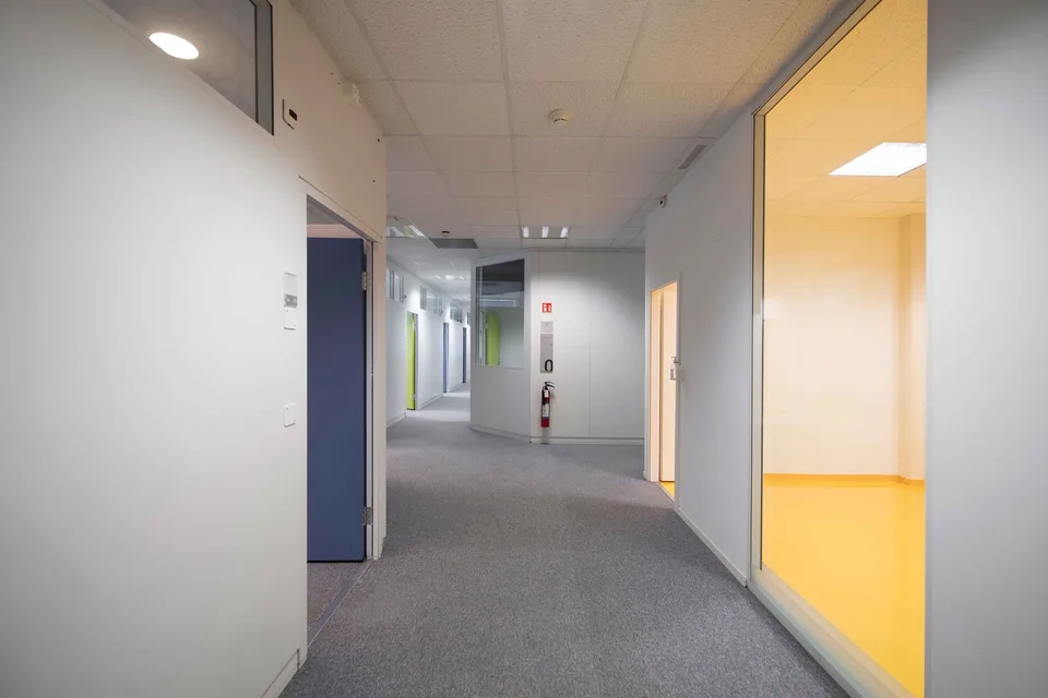 Surface à Plan-les-Ouates  –  CTN 12  –  Rez : env. 552 m²