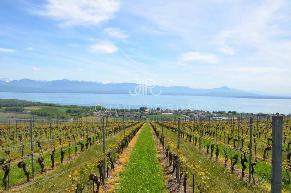 Magnifique propriété hauts de Nyon