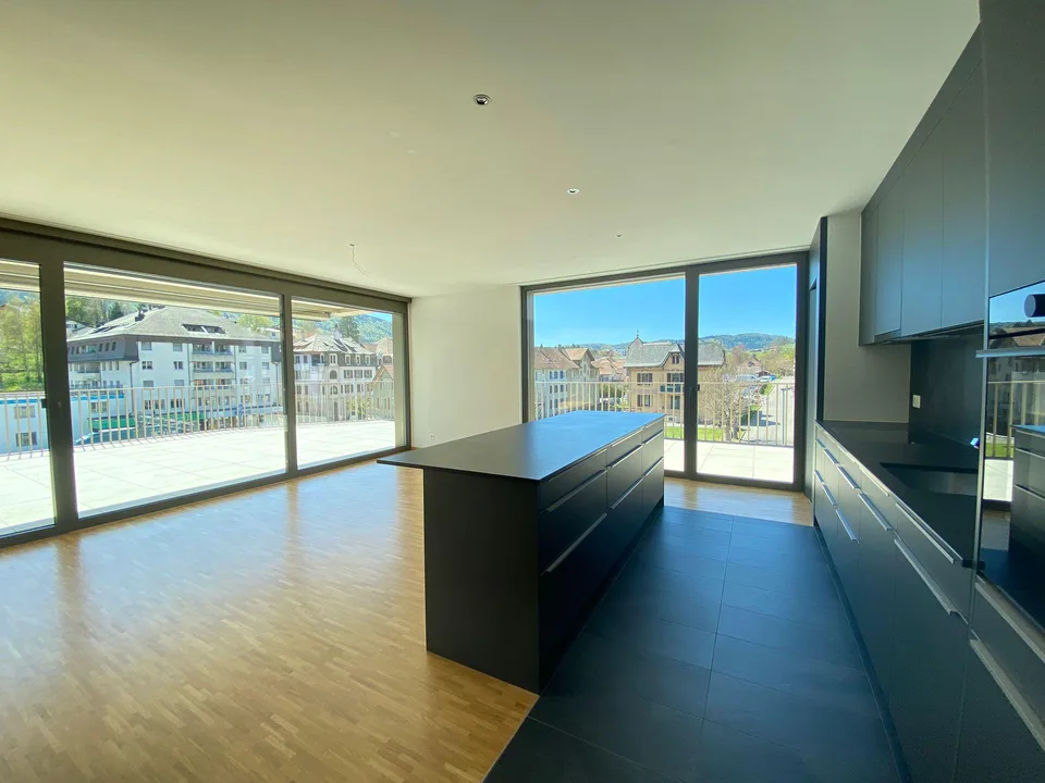 Superb 5.5-room penthouse