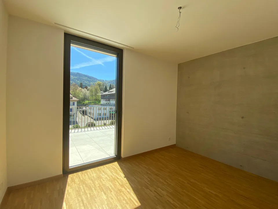 Superb 5.5-room penthouse
