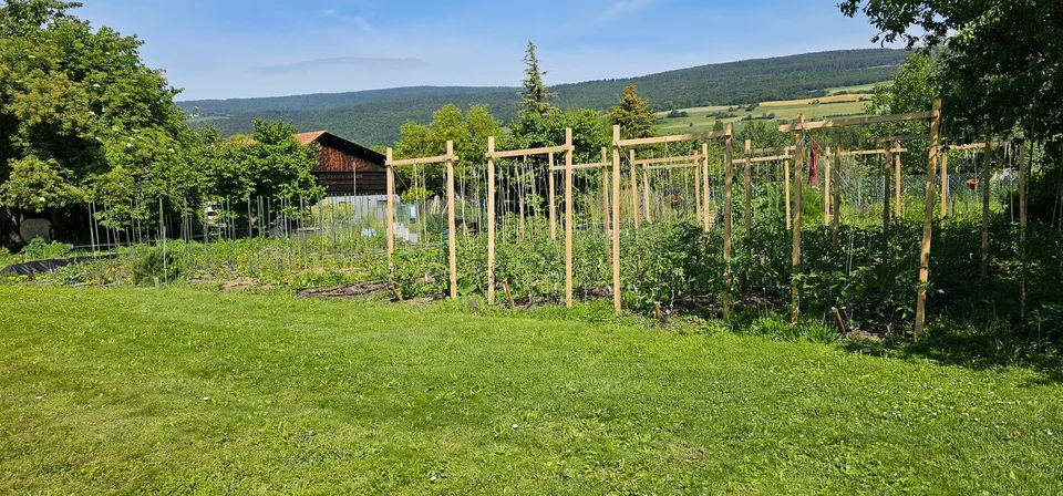 Außergewöhnliche Gartengrundstücke in Landeron