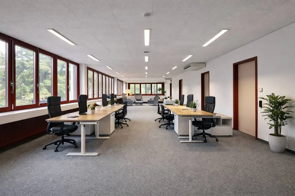 Bureaux lumineux, plug and play avec rampe d'accès !