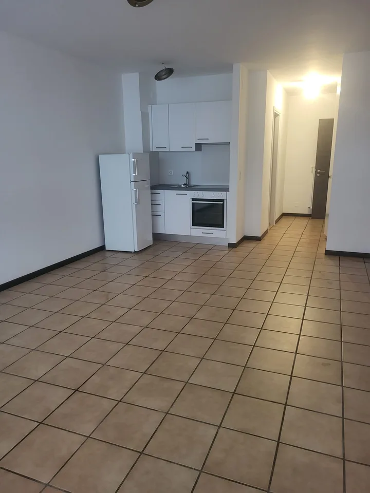 CHIASSO - APPARTAMENTO 1.5 LOCALI