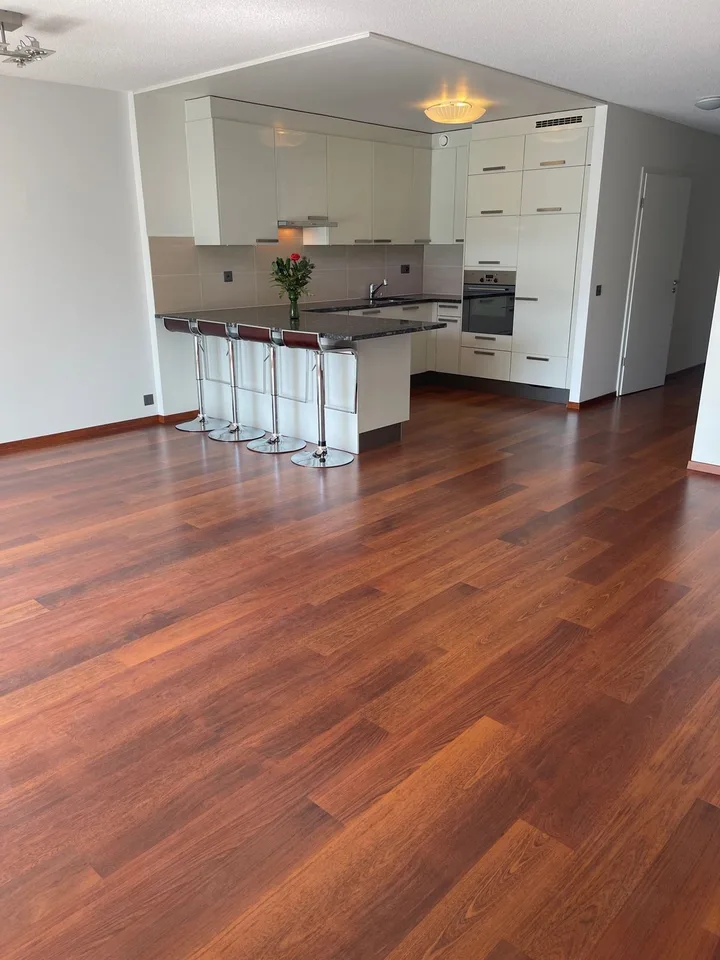 Moderne 4-Zimmer-Wohnung in Genf