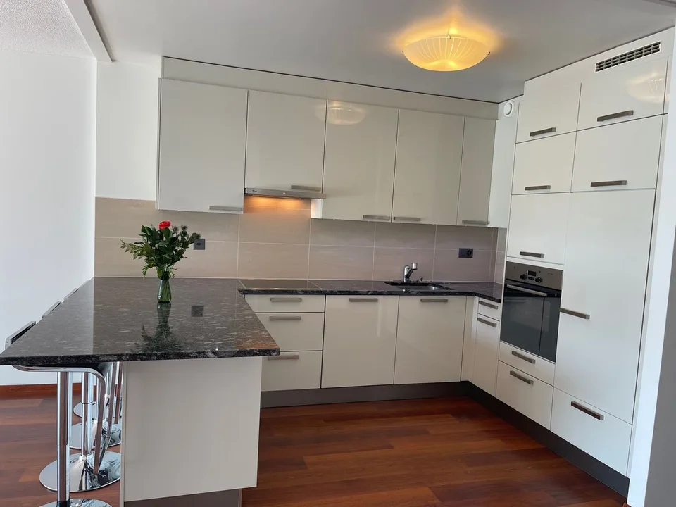 Appartement Contemporain au Cœur de Genève