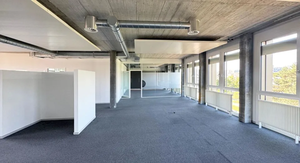 Moderne und helle Gewerbefläche im Triamal