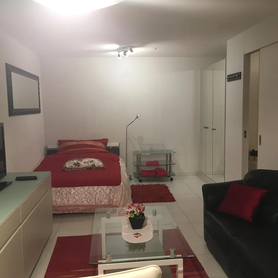 Möblierte Wohnung