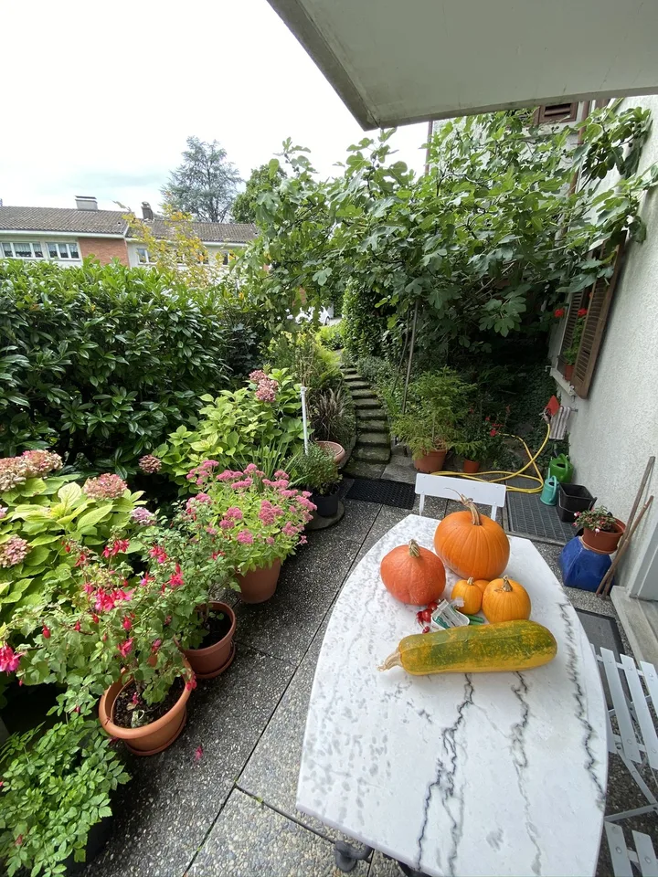 Appartement attrayant de 2,5 pièces avec espace de jardin