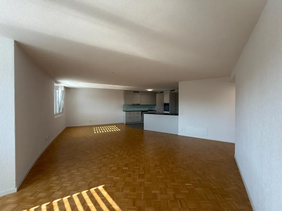 Moderna appartamento 4.5 stanze / Superbo 4.5 stanze moderne