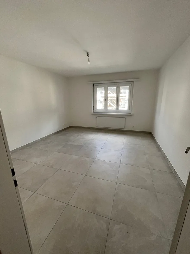 CADENAZZO - Großes 4.5-Zimmer-Apartment komplett renoviert