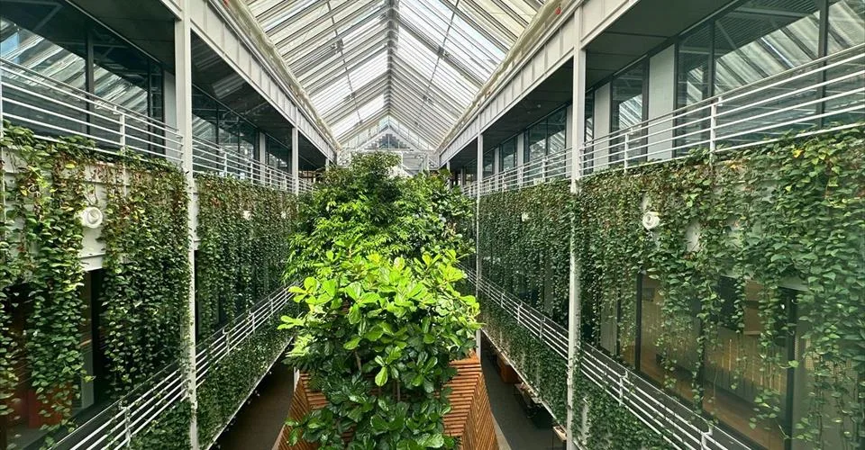 Büro