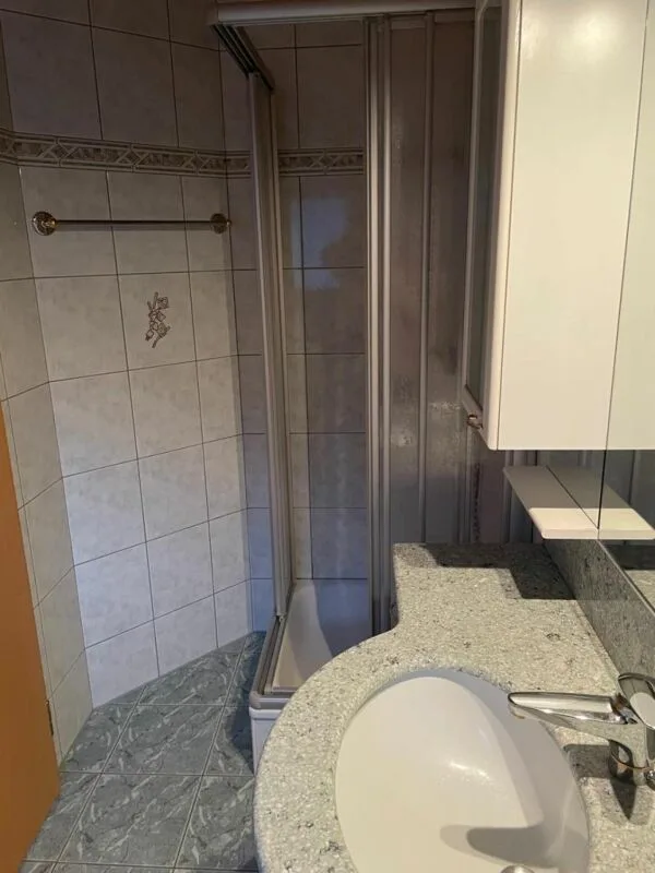 Charmante appartement 1.5 pièces à louer à Gamsen