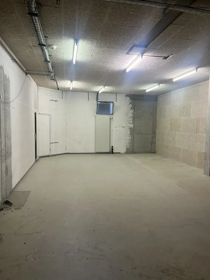 Dépôts à louer à Pully de 32.5 m2 à 221 m2